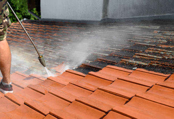 Roof Power Washing Services in Columbia, MS